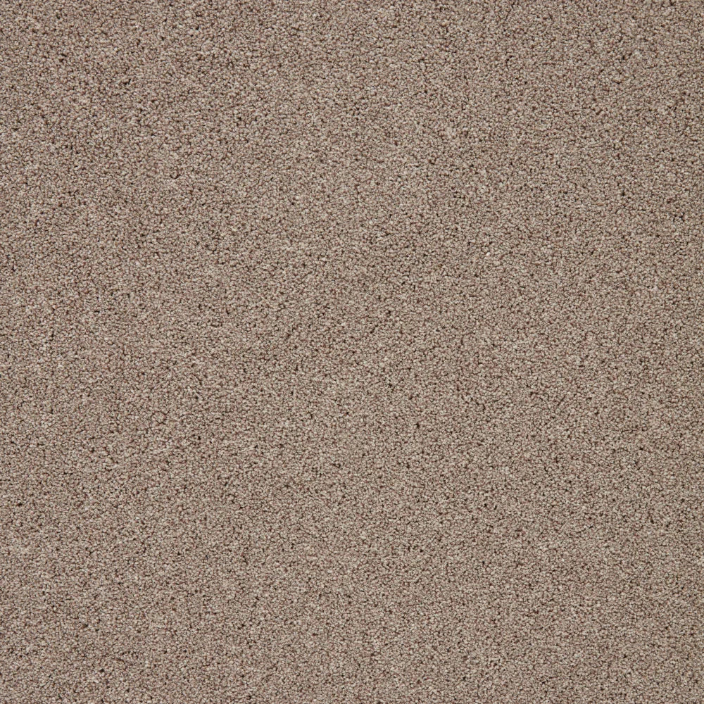 Biscuit-toned carpet with a soft, dense texture | Home Centre Direct UK