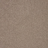 Biscuit-toned carpet with a soft, dense texture | Home Centre Direct UK