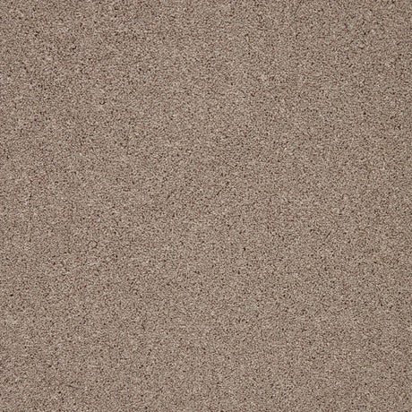 Biscuit-toned carpet with a soft, dense texture | Home Centre Direct UK