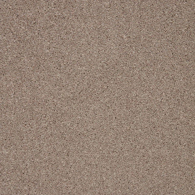 Biscuit-toned carpet with a soft, dense texture | Home Centre Direct UK