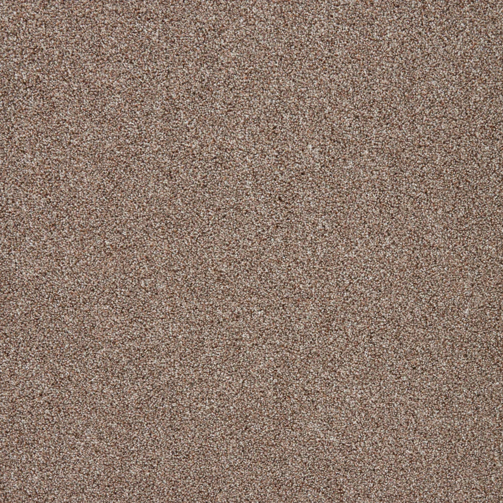 Warm brown driftwood carpet with a textured loop pile finish | Home Centre Direct UK