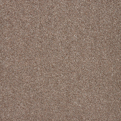 Warm brown driftwood carpet with a textured loop pile finish | Home Centre Direct UK