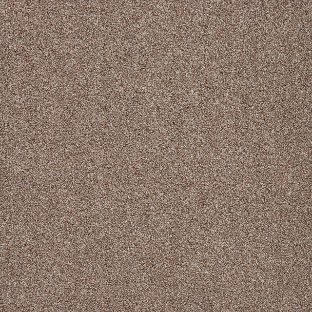 Warm brown driftwood carpet with a textured loop pile finish | Home Centre Direct UK
