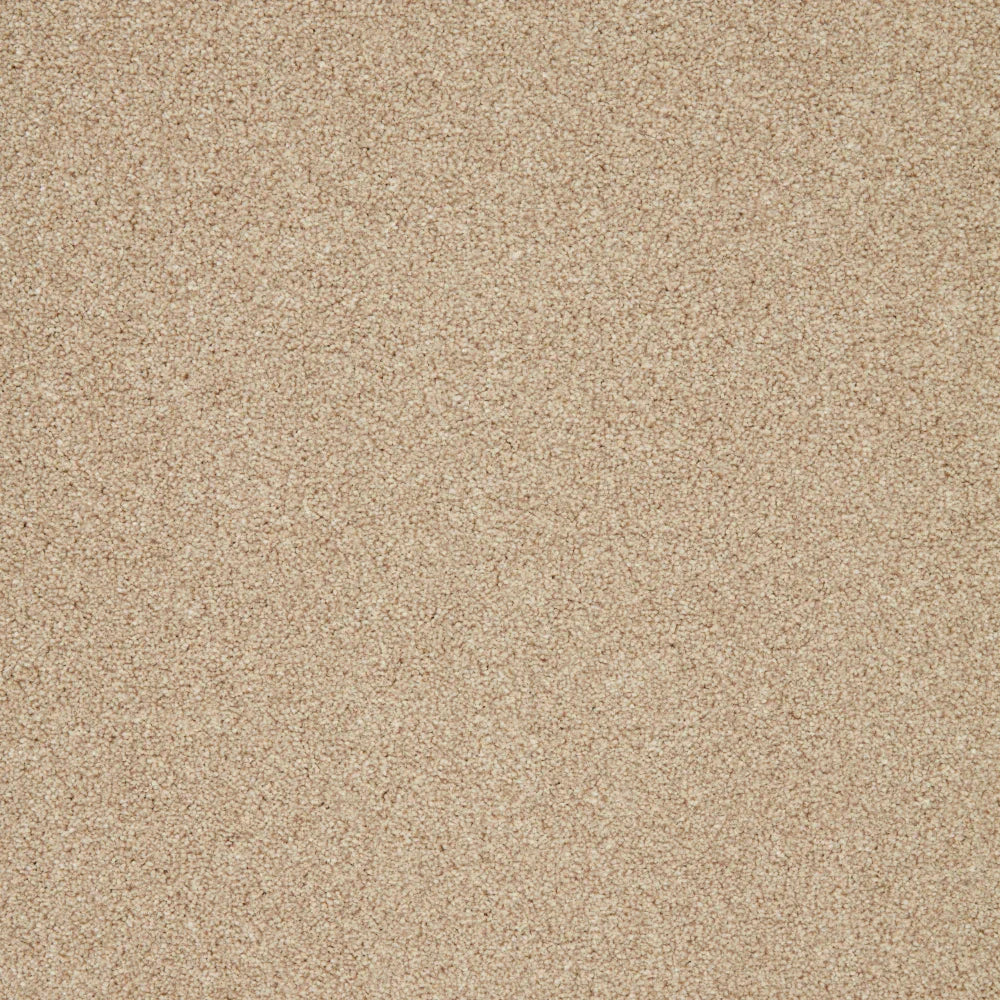 Creamy beige carpet with soft, plush texture in a seamless finish | Home Centre Direct UK
