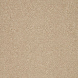 Creamy beige carpet with soft, plush texture in a seamless finish | Home Centre Direct UK