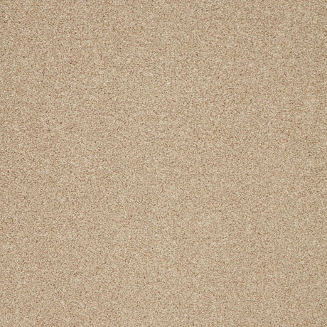 Creamy beige carpet with soft, plush texture in a seamless finish | Home Centre Direct UK