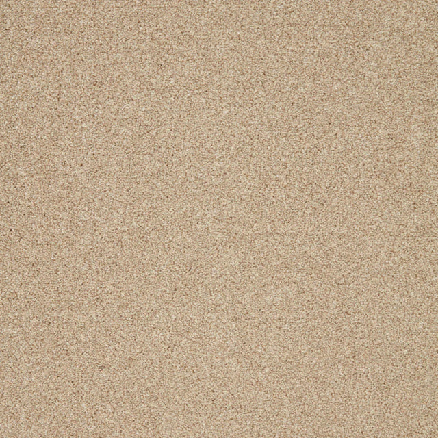 Creamy beige carpet with soft, plush texture in a seamless finish | Home Centre Direct UK