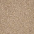Warm beige carpet with fine, even texture in a soft loop pile | Home Centre Direct UK