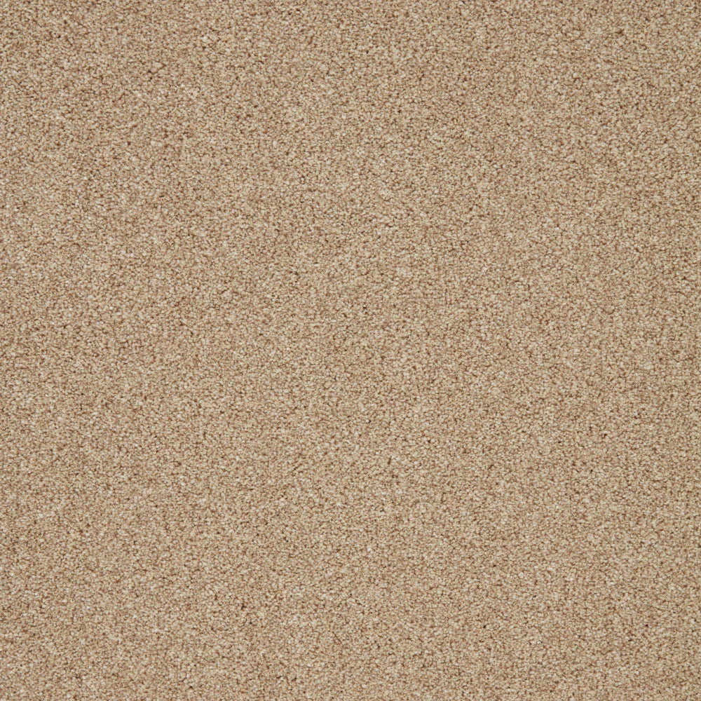 Warm beige carpet with fine, even texture in a soft loop pile | Home Centre Direct UK