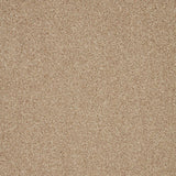 Warm beige carpet with fine, even texture in a soft loop pile | Home Centre Direct UK