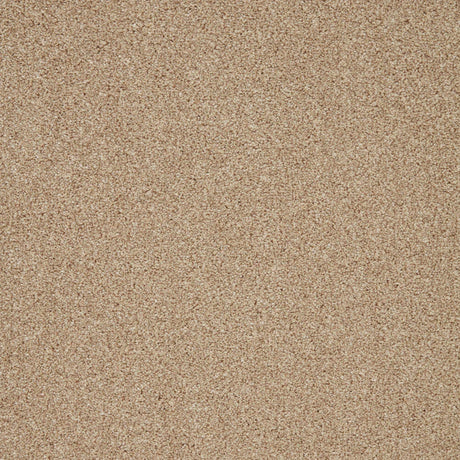 Warm beige carpet with fine, even texture in a soft loop pile | Home Centre Direct UK