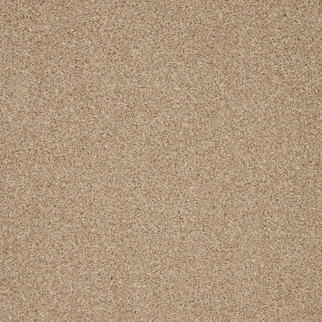 Warm beige carpet with fine, even texture in a soft loop pile | Home Centre Direct UK