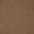 Russet brown carpet with soft, dense pile texture | Home Centre Direct UK