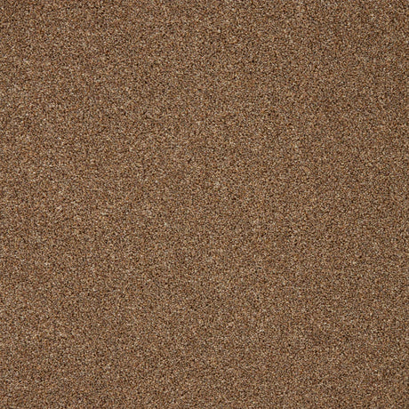 Russet brown carpet with soft, dense pile texture | Home Centre Direct UK