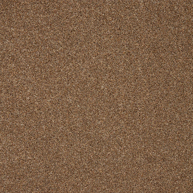 Russet brown carpet with soft, dense pile texture | Home Centre Direct UK