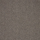 Grey textured carpet with a speckled stone pattern | Home Centre Direct UK