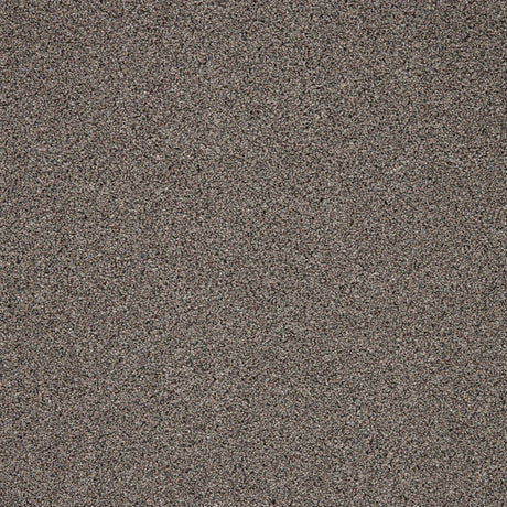 Grey textured carpet with a speckled stone pattern | Home Centre Direct UK