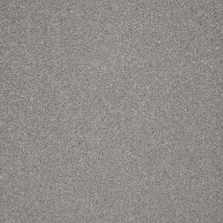 Grey textured carpet with a subtle speckled pattern | Home Centre Direct UK