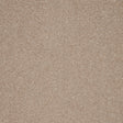Warm beige carpet with dense, soft texture | Home Centre Direct UK