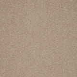 Warm beige carpet with dense, soft texture | Home Centre Direct UK