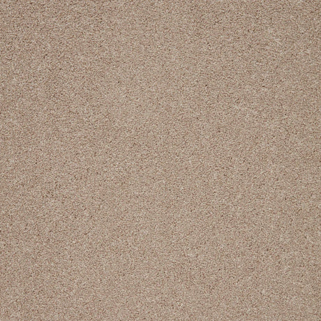 Warm beige carpet with dense, soft texture | Home Centre Direct UK