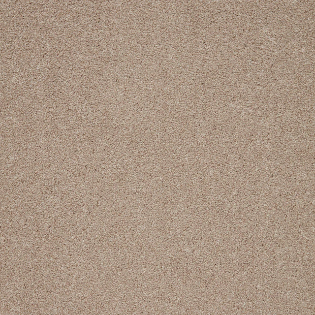 Warm beige carpet with dense, soft texture | Home Centre Direct UK