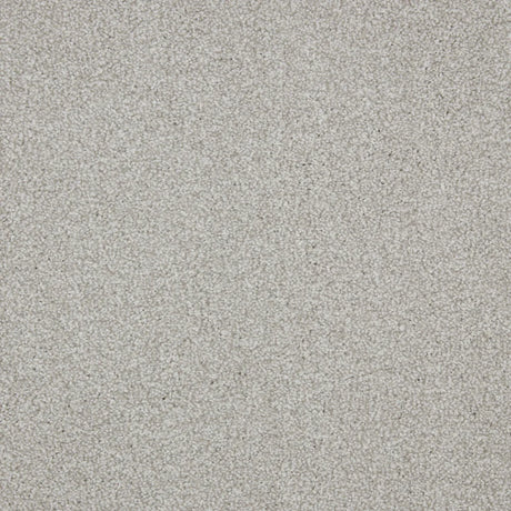 Light grey carpet with a soft, textured loop pile finish | Home Centre Direct UK