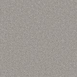 Grey textured carpet with a soft, dense pile | Home Centre Direct UK