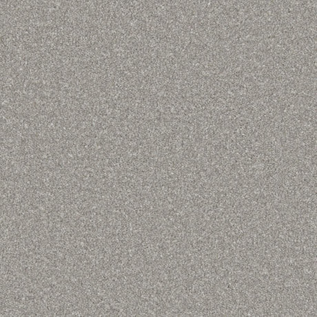 Grey textured carpet with a soft, dense pile | Home Centre Direct UK