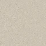Chalk white carpet with soft, even texture in a minimalist setting | Home Centre Direct UK
