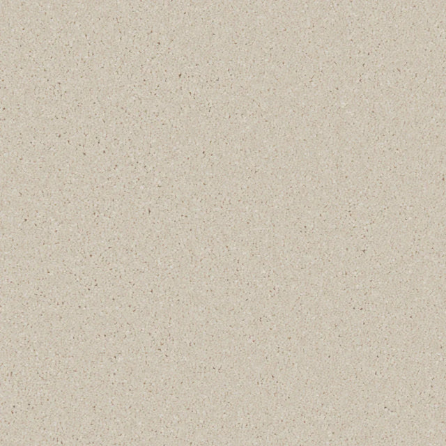 Chalk white carpet with soft, even texture in a minimalist setting | Home Centre Direct UK