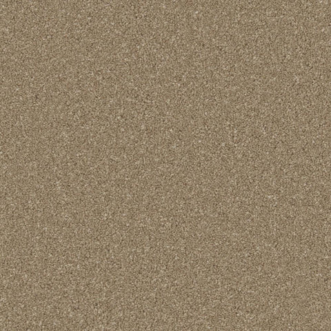 Dark taupe carpet with dense, even texture in a soft pile finish | Home Centre Direct UK