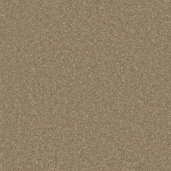 Dark taupe carpet with dense, even texture in a soft pile finish | Home Centre Direct UK