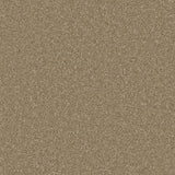 Dark taupe carpet with dense, even texture in a soft pile finish | Home Centre Direct UK