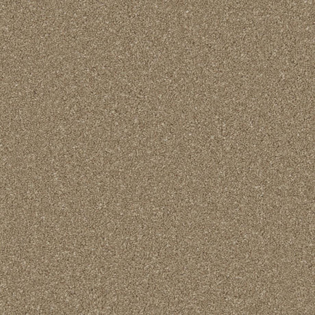 Dark taupe carpet with dense, even texture in a soft pile finish | Home Centre Direct UK