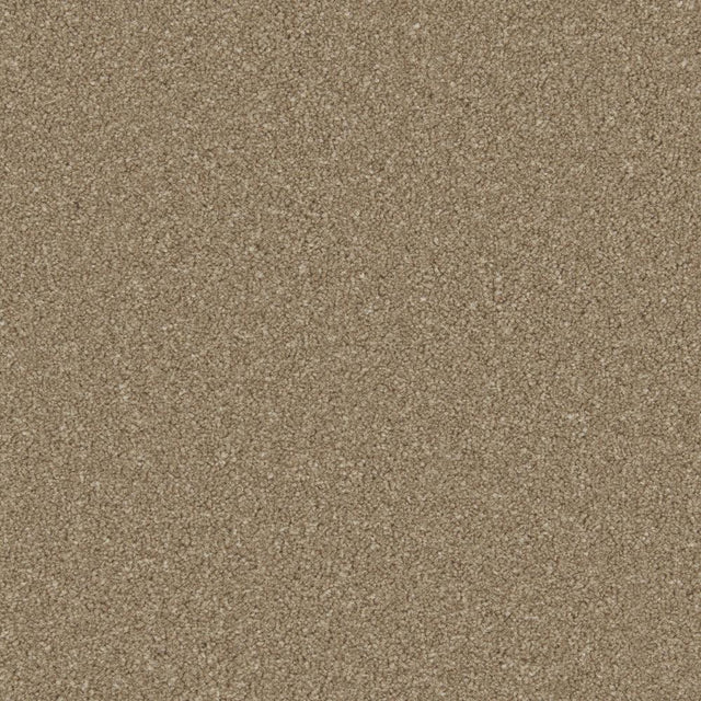 Dark taupe carpet with dense, even texture in a soft pile finish | Home Centre Direct UK