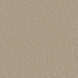 Beige loop-pile carpet with subtle speckled texture | Home Centre Direct UK