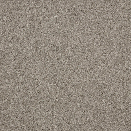Grey textured carpet with a soft, dense pile | Home Centre Direct UK