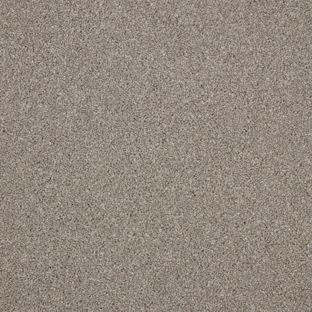 Grey textured carpet with a soft, dense pile | Home Centre Direct UK