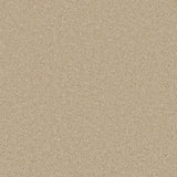 Beige textured carpet with dense, looped pile | Home Centre Direct UK