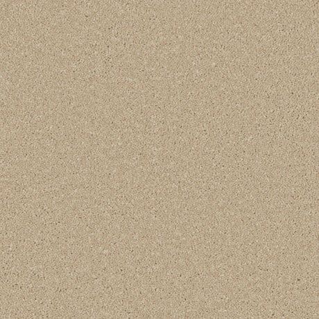 Beige textured carpet with dense, looped pile | Home Centre Direct UK