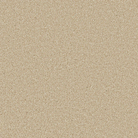 Beige plush carpet with dense, soft texture in a cozy living space | Home Centre Direct UK