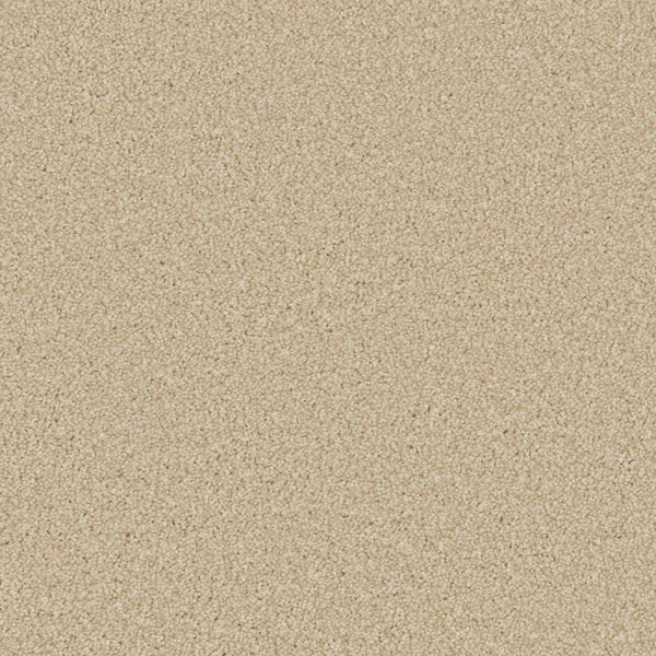 Beige plush carpet with dense, soft texture in a cozy living space | Home Centre Direct UK