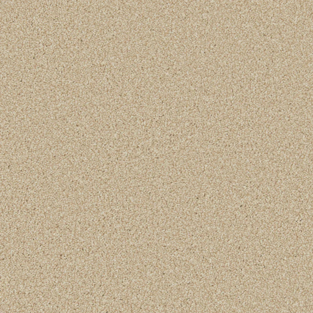Beige plush carpet with dense, soft texture in a cozy living space | Home Centre Direct UK
