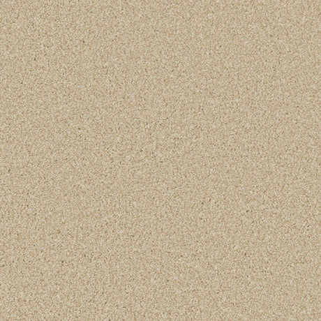 Beige plush carpet with dense, soft texture in a cozy living space | Home Centre Direct UK