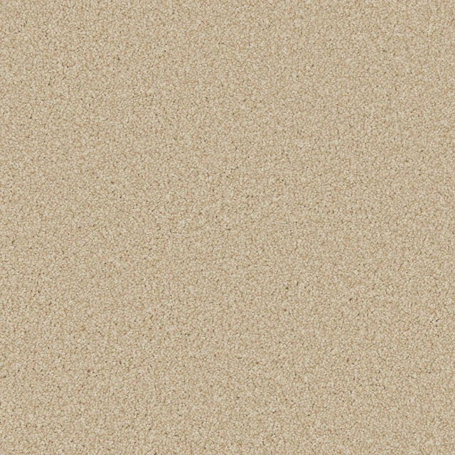 Beige plush carpet with dense, soft texture in a cozy living space | Home Centre Direct UK
