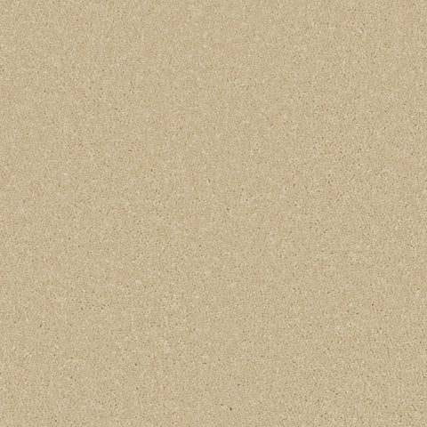 Palomino gold carpet with soft, even texture in a warm, neutral tone | Home Centre Direct UK