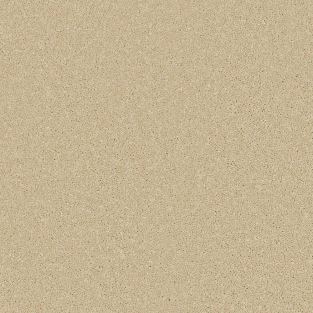 Palomino gold carpet with soft, even texture in a warm, neutral tone | Home Centre Direct UK