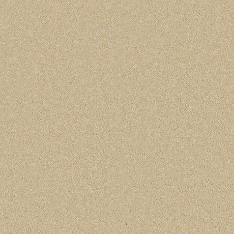 Palomino gold carpet with soft, even texture in a warm, neutral tone | Home Centre Direct UK