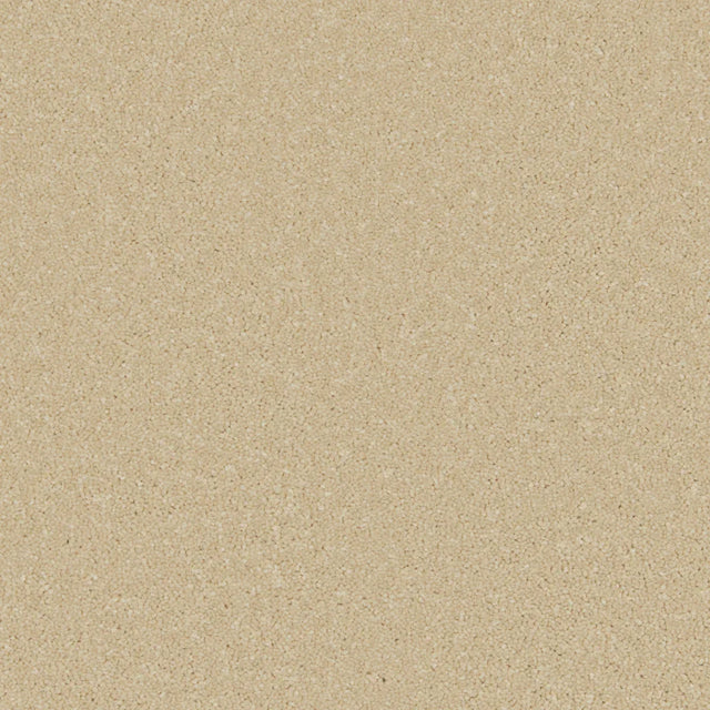 Palomino gold carpet with soft, even texture in a warm, neutral tone | Home Centre Direct UK